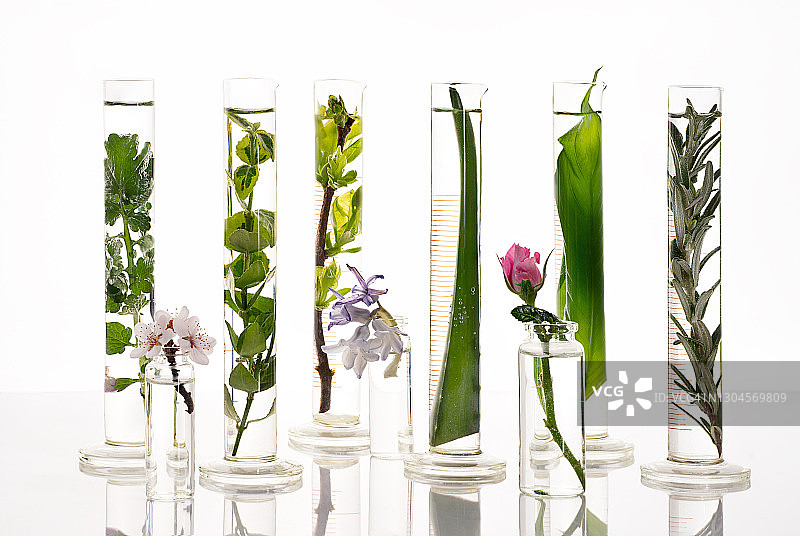 化妆品实验室创造天然有机生物美容产品的草药成分。图片素材