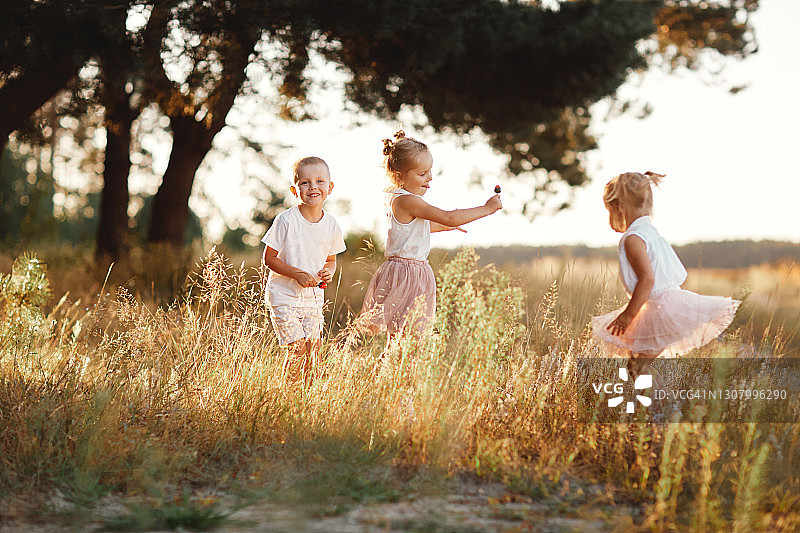 夏天，三个孩子在地里玩耍。孩子们在户外微笑着玩耍。幸福的家庭。无忧无虑的童年图片素材
