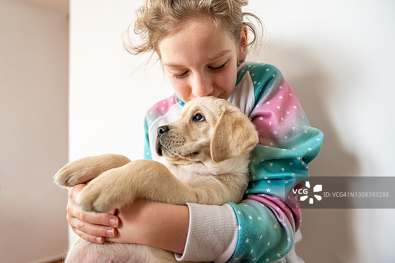 女孩抱着一只拉布拉多小狗图片素材