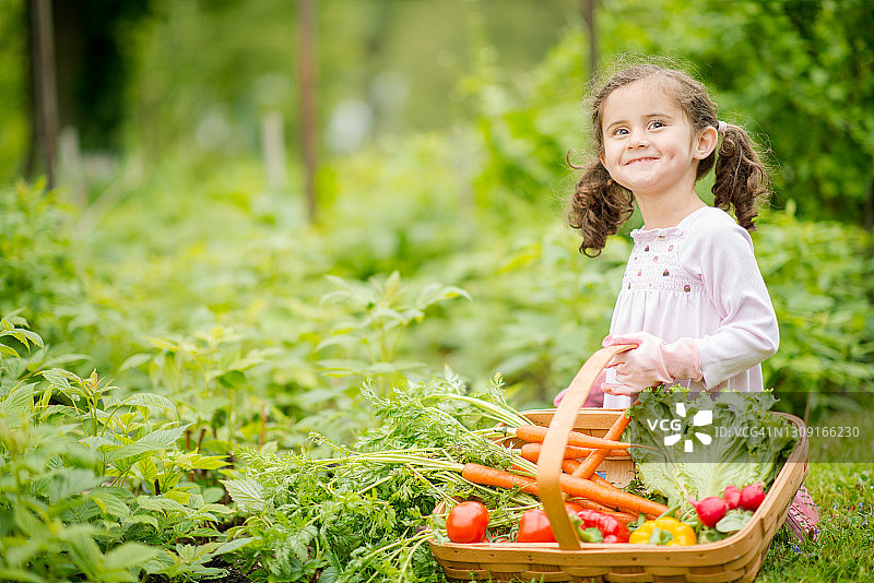 可爱的女孩在她的花园里拿着一篮蔬菜图片素材