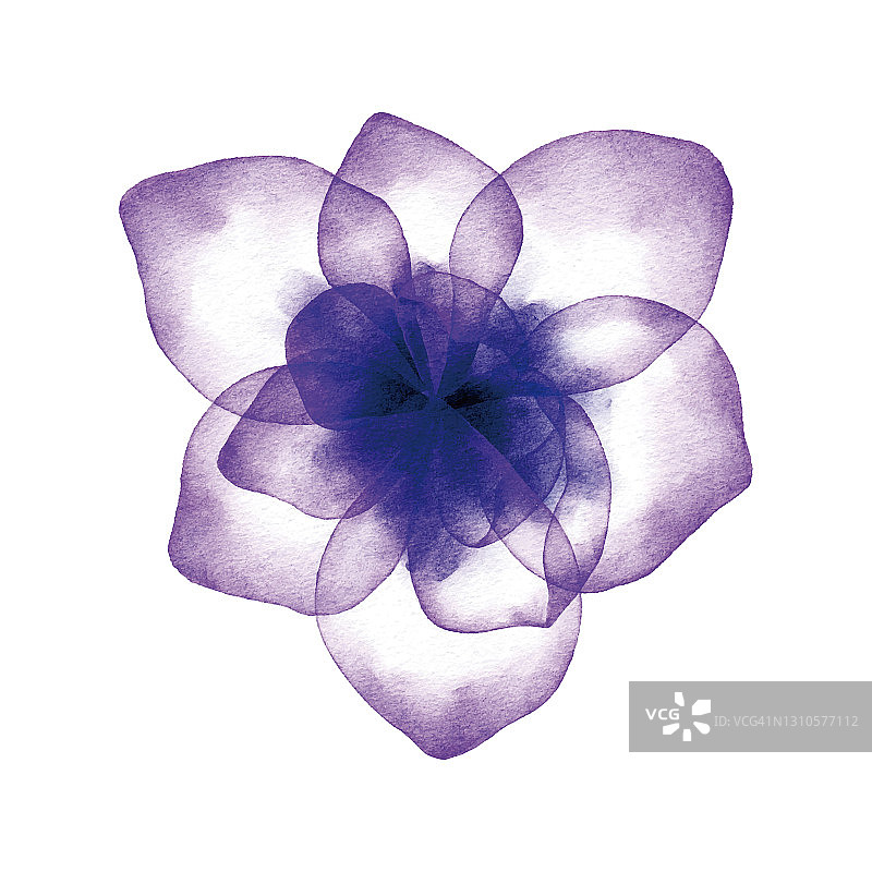 水彩紫色的花图片素材