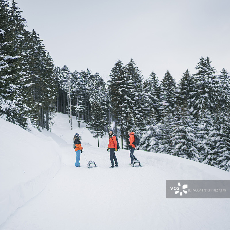 早上朋友们拉着雪橇在雪道上走图片素材