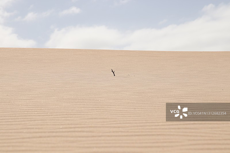 一张地平线上有天空的沙漠照片。图片素材