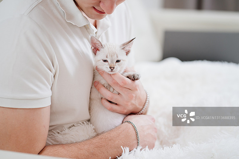 一个年轻人抱着一只白色的小猫，抚摸着它。涅夫斯基化妆舞会的猫。图片素材