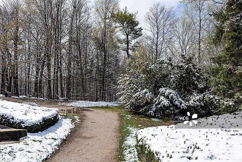 加拿大多伦多春天的爱德华兹花园中铺着雪的小路图片素材