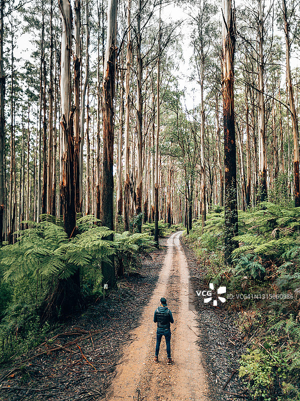 澳大利亚亚拉山脉国家公园的一名男子图片素材