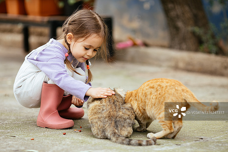 孩子在后院和猫玩。孩子和宠物。图片素材