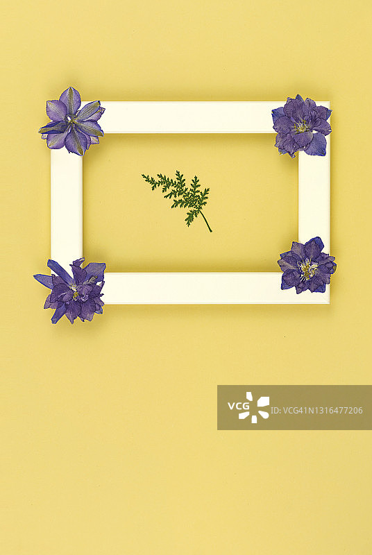 花朵浪漫的成分。相框和紫色干花在黄色的背景。情人节，复活节，妇女节快乐，母亲节。平铺，俯视图，拷贝空间图片素材