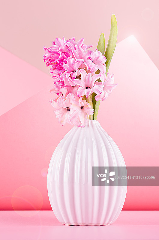 轻盈柔和的光线，精致的粉红色风信子花在花瓶与阳光，太阳耀光在粉彩背景，浪漫的春天背景，垂直。图片素材