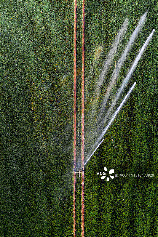 无人机拍摄显示农业喷灌机从正上方，英国，英国图片素材
