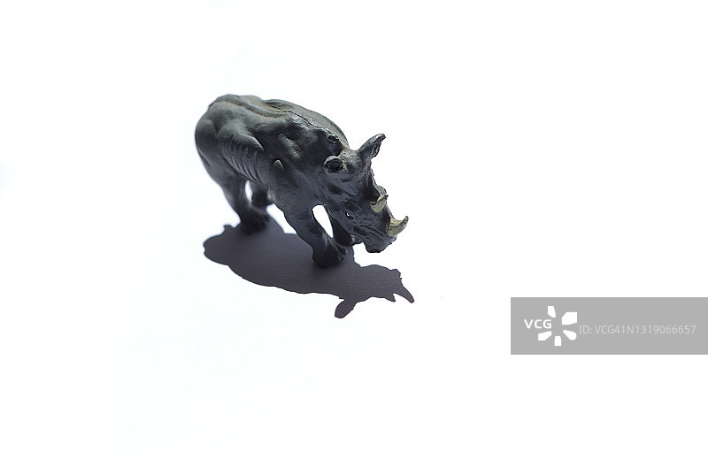 白色背景上的小犀牛玩具图片素材