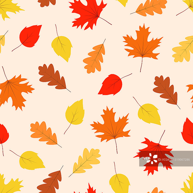 秋日无缝图案，黄色和红色的枫树橡树和白杨的叶子秋天。图片素材