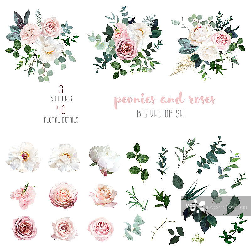 白色牡丹，粉红玫瑰，盛开的小苍兰，桉树，盐巴草，潘帕斯草图片素材