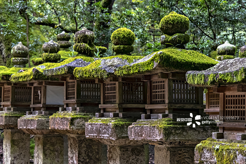 日本奈良，沿着奈良公园小路的石灯笼。图片素材