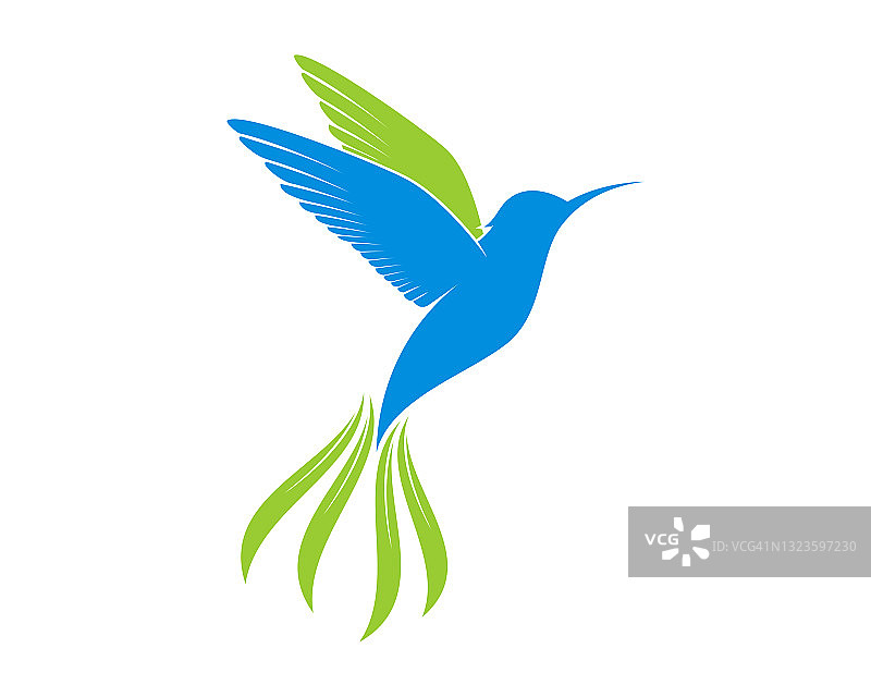飞行colibri与绿色叶尾矢量插图图片素材