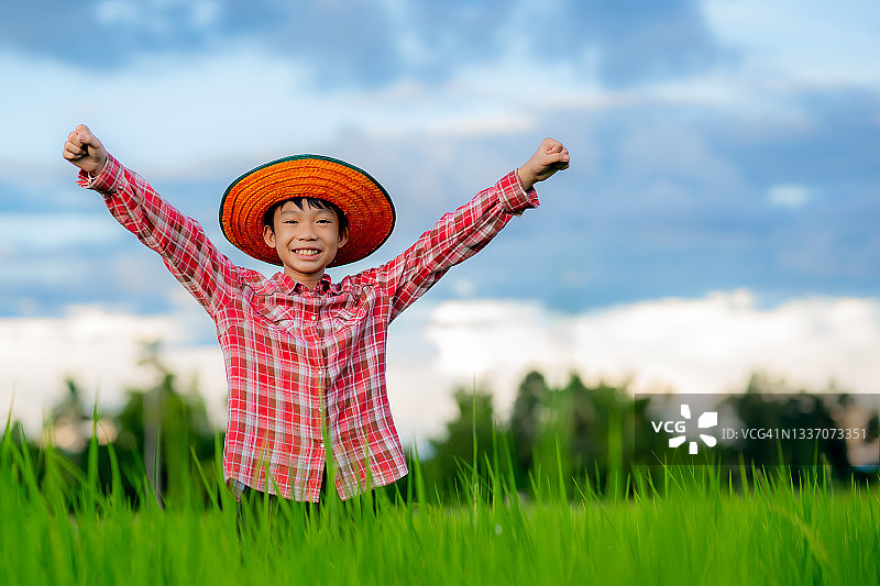 快乐的孩子们抬头仰望天空，在有机农田的稻田里微笑图片素材