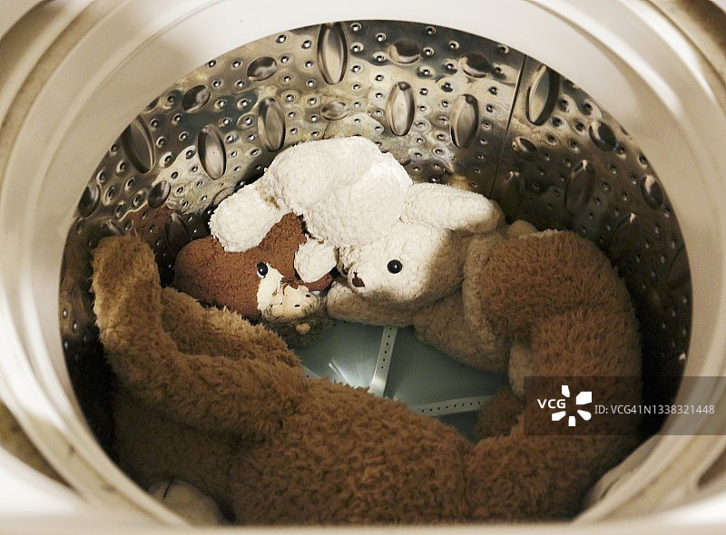 填充动物在洗衣机里图片素材