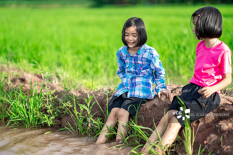 孩子们在农村或乡村的有机稻田里玩耍图片素材