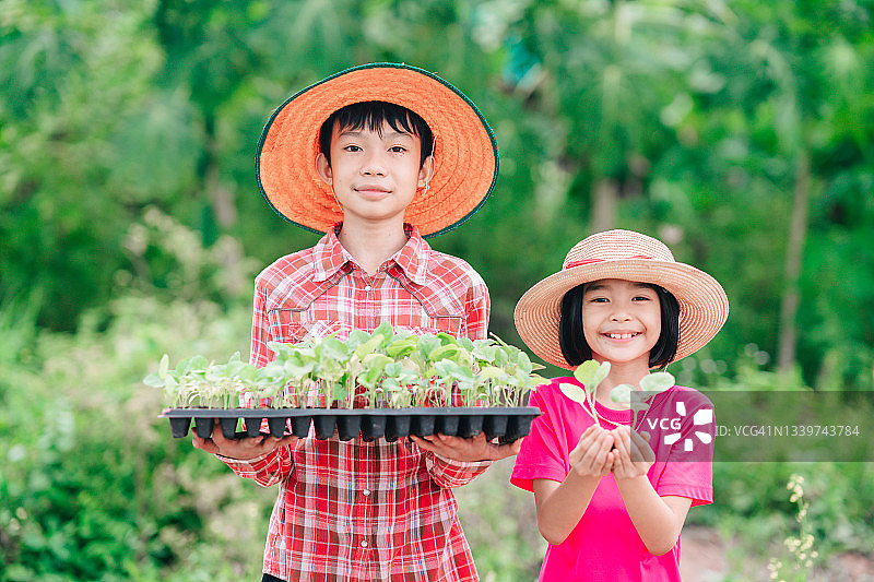 孩子们手持播种机，在绿色大自然的模糊背景上种植蔬菜图片素材