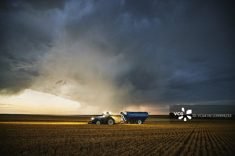 在夏季收获期间，拖拉机拉着谷物车穿过麦田，前面是乌云图片素材