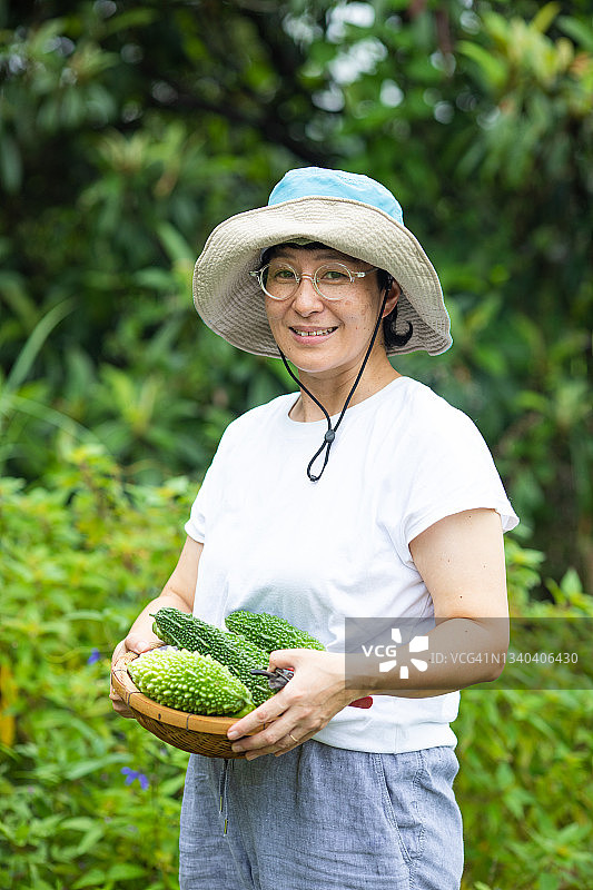 可持续的生活-女农民拿着一篮新鲜收获的蔬菜(戈雅-冲绳超级食品)图片素材