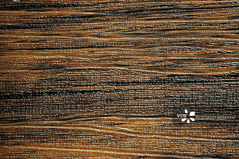 深色胡桃木，表面平整，天然棕色木材，有小而浅的条纹和粗糙加工的痕迹。图片素材