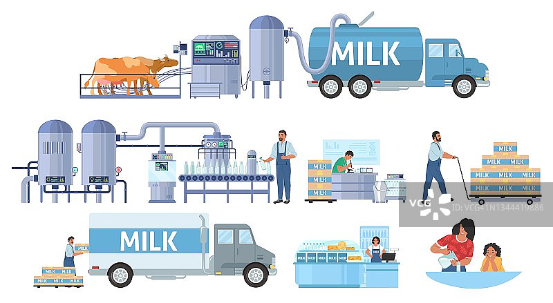 牛奶生产矢量信息图。牛耕作。乳品厂流水线加工、经销、销售。食品行业。图片素材