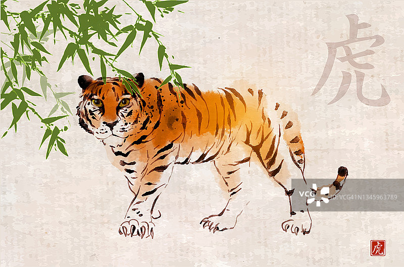 竹子和老虎，象征着2022年的中国新年，用墨水在复古背景上手绘。传统东方水墨画梅花、梅花、梅花。象形文字——老虎。图片素材