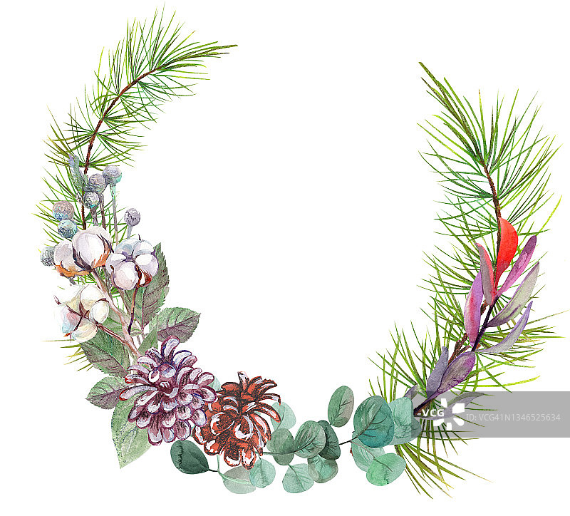 在白色背景上孤立的冷杉树枝上用水彩画的冬天干花和圆锥形的圣诞卡片的圆形框架图片素材