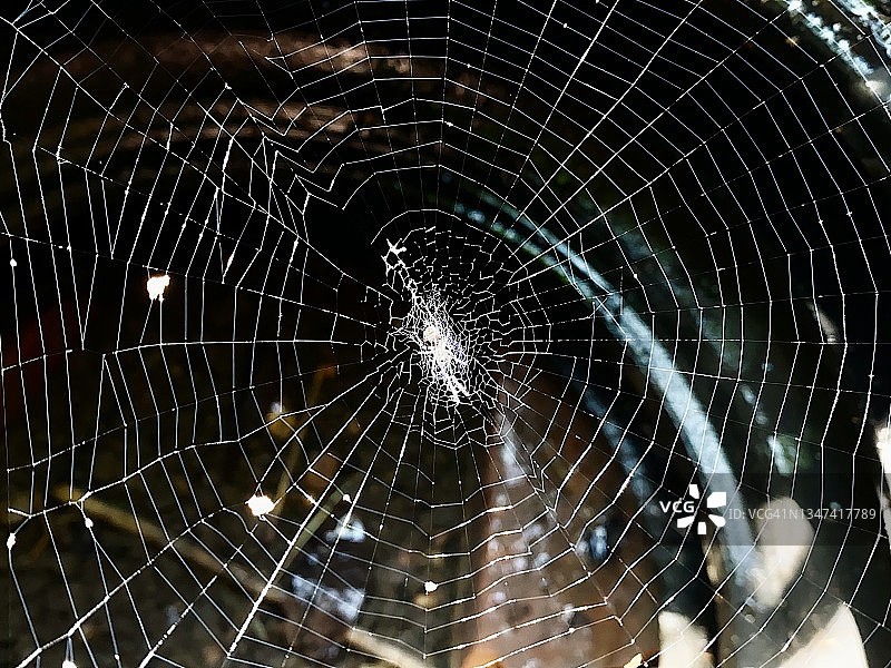 特写蜘蛛网作为背景。图片素材