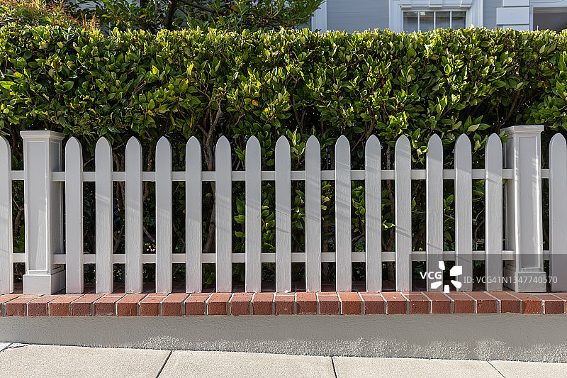 白色的尖桩篱笆和绿色的篱笆图片素材