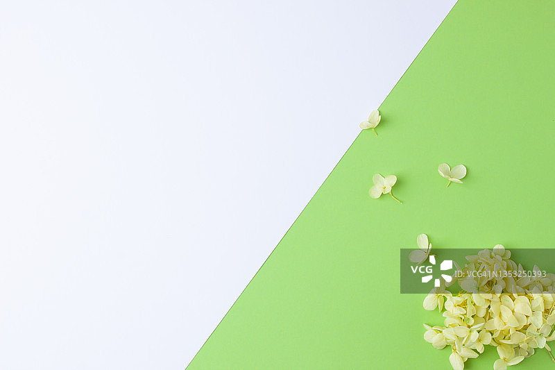 白色和绿色花的化妆品背景。平铺，复制空间图片素材