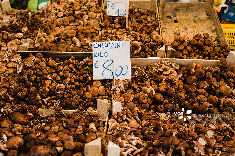 新鲜的蘑菇在传统的威尼斯市场图片素材