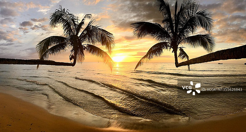 在高谷岛的九龙潮海滩，日落时美丽的天空。二朵椰子树倾入大海。图片素材