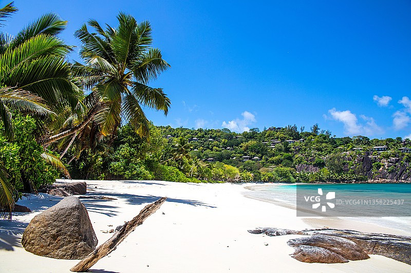 小安斯海滩上的棕榈树和花岗岩，塞舌尔马埃群岛南部海湾的最南端图片素材