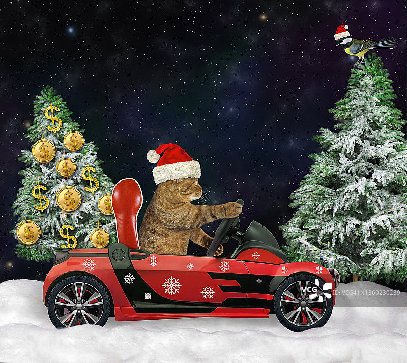 猫开车带着美元球圣诞树2图片素材