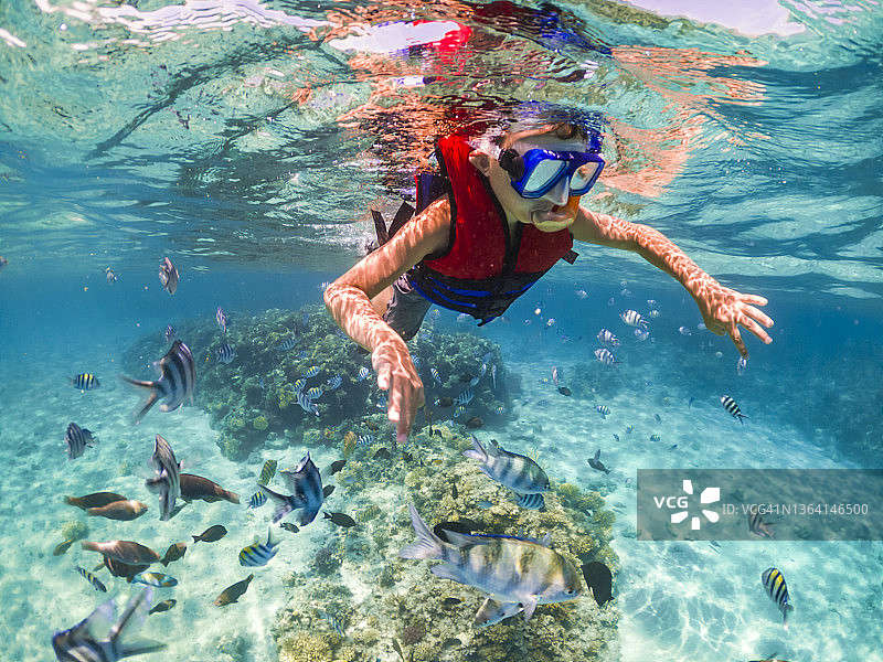 在珊瑚礁附近浮潜的男孩。在海上度假图片素材