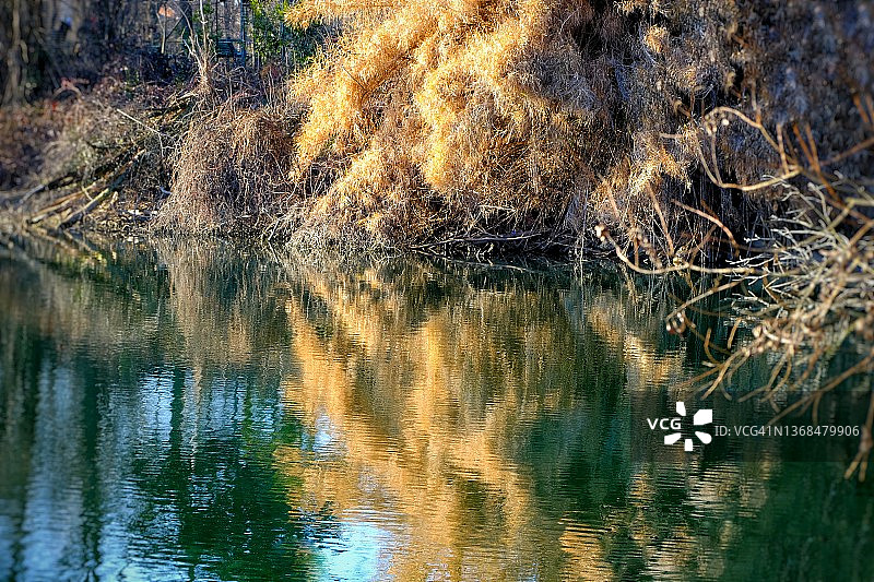 池塘里水的彩色倒影图片素材