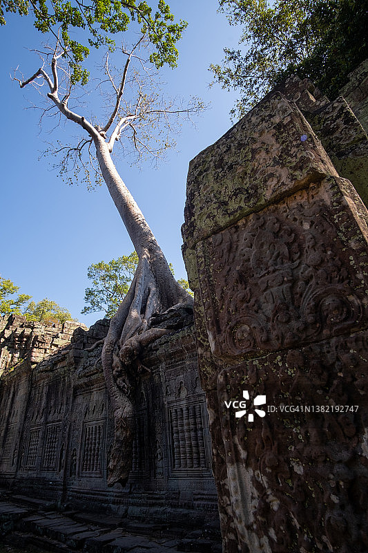 柬埔寨的塔普罗姆寺图片素材