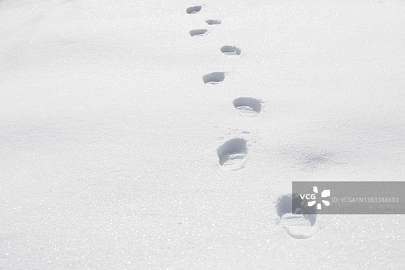 在雪地上的足迹图片素材