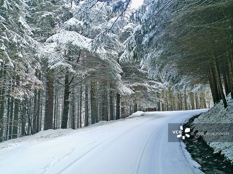 冰雪覆盖的道路穿过冬季森林图片素材