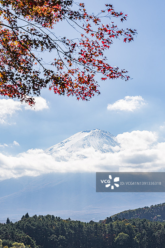 多云的秋天，日本川口子湖的富士山和红色的枫叶图片素材