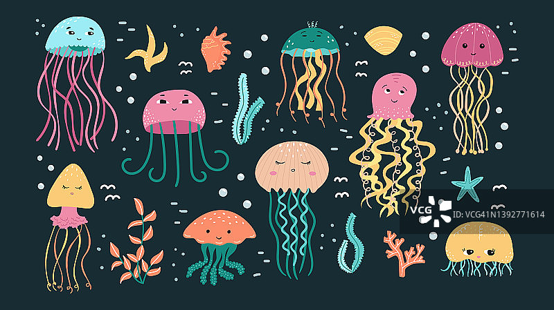 向量集插图的水母和藻类与贝壳在卡通风格。图片素材