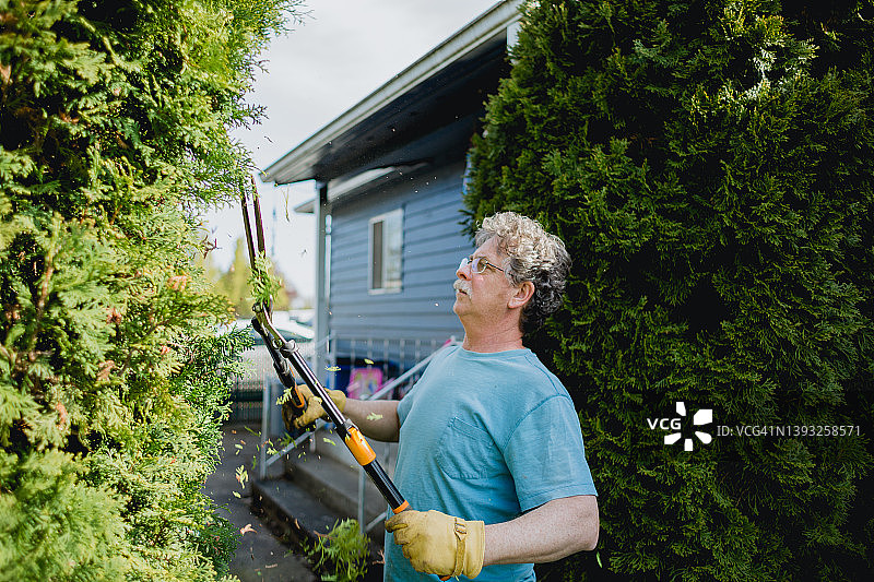 年老男子做庭院工作和修剪灌木图片素材