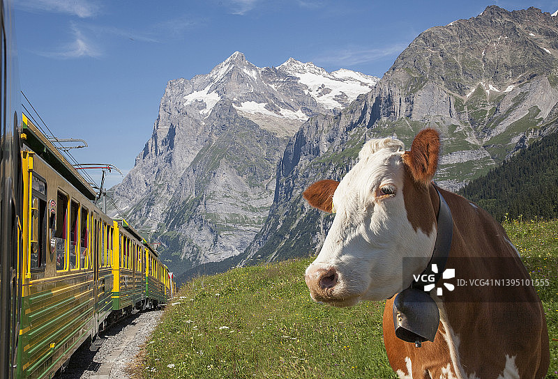 瑞士阿尔卑斯山的火车。图片素材