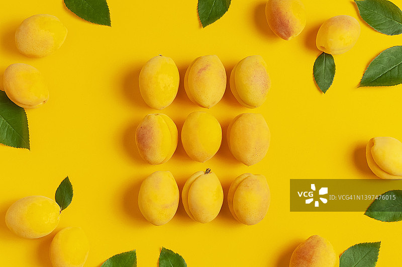 成熟新鲜的杏子，黄色底色，绿叶衬托。平面布局，俯视图，拷贝空间。新鲜的有机杏，减肥纯素食品。创意杏模式。收获的概念图片素材