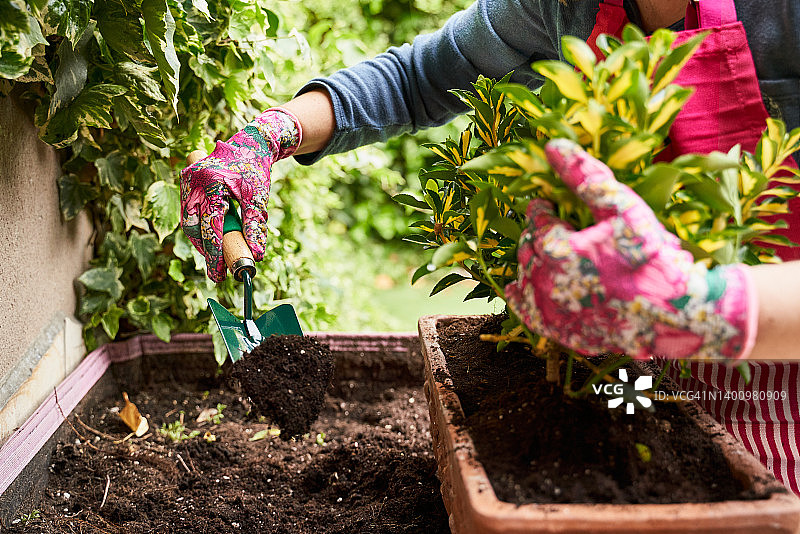 一个陌生的白人妇女用铲子在城市花园里种植植物。园艺的概念图片素材