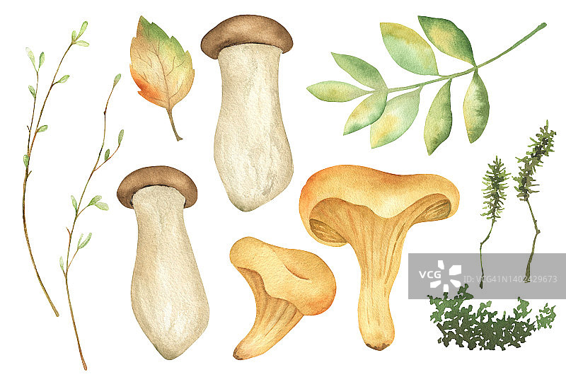 水彩蘑菇和秋天植物剪纸图片素材