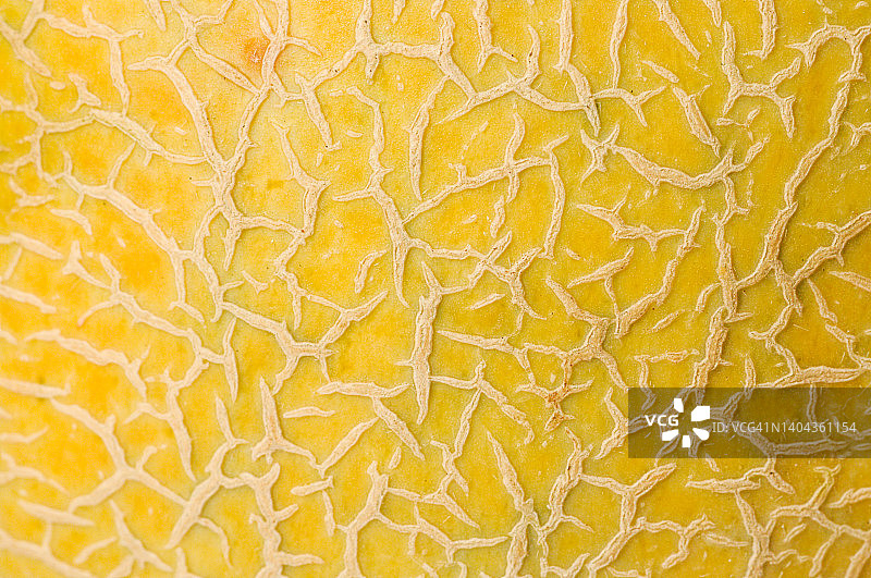 哈密瓜网状皮肤的微距镜头图片素材