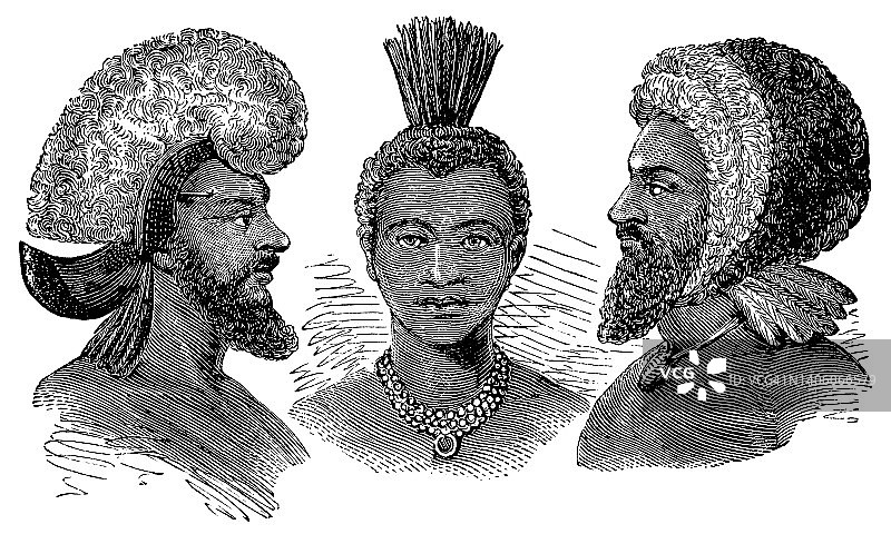 各种斐济头饰- 19世纪图片素材